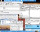 Linux Web Development Applications
